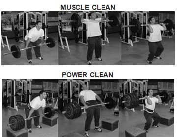 muscle-clean-power-clean