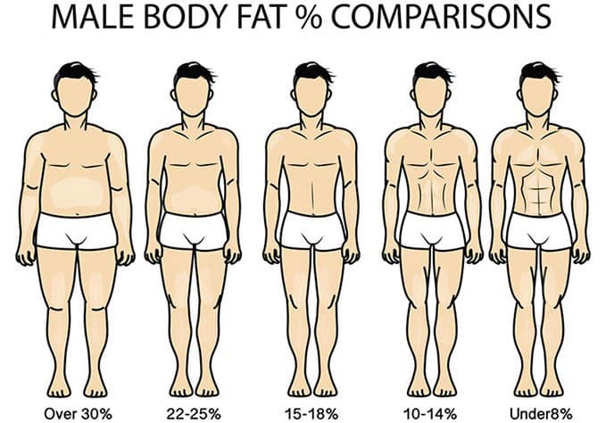 dieta-pra-perder-barriga dieta-pra-perder-barriga