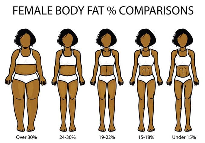 perder-gordura perder-gordura